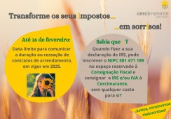 Transforme os seus impostos em sorrisos: IRS em 2026
