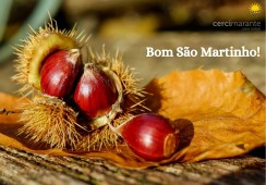 Bom São Martinho!