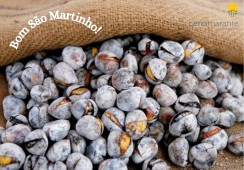 Dia de São Martinho / 11 de novembro 