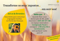 IRS em 2024: o que deve saber, para já, até 15 de fevereiro!