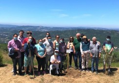 Clientes e colaboradores/as do CACI visitam Bosque dos Avós