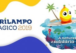 Programa de Atividades - Campanha Pirilampo Mágico 2019