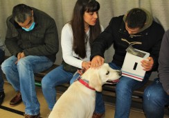 Clientes do CACI vão usufruir de Terapia Assistida por Animais, através do Projeto Caça Sorrisos