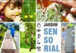 INR (Instituto Nacional de Reabilitação) aprova projeto "Sentidos +" da Cercimarante.