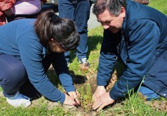 Plantação de árvores assinala Dia Mundial da Árvore