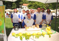 Centro de Formação participa no Desafio Limonada!