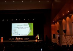 CAFAP nas Primeiras Jornadas sobre Parentalidade