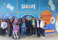Visita ao Sealife e ao Parque da Cidade, no Porto