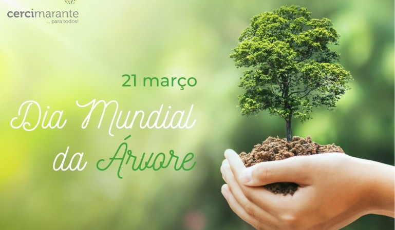 Neste dia 21 de março, também se comemora o Dia Mundial da Árvore ou da Floresta!