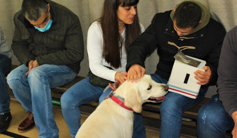 Clientes do CACI vão usufruir de Terapia Assistida por Animais, através do Projeto Caça Sorrisos