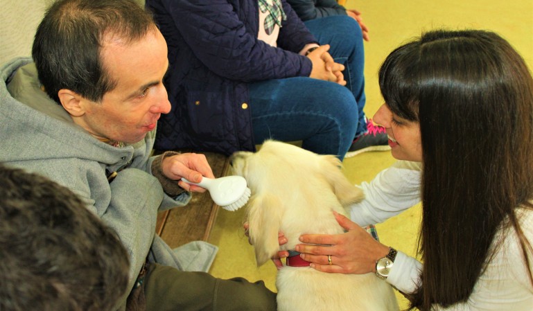Clientes do CACI usufruem de Terapia Assistida por Animais 